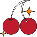 5-stufiges VIP-Programm